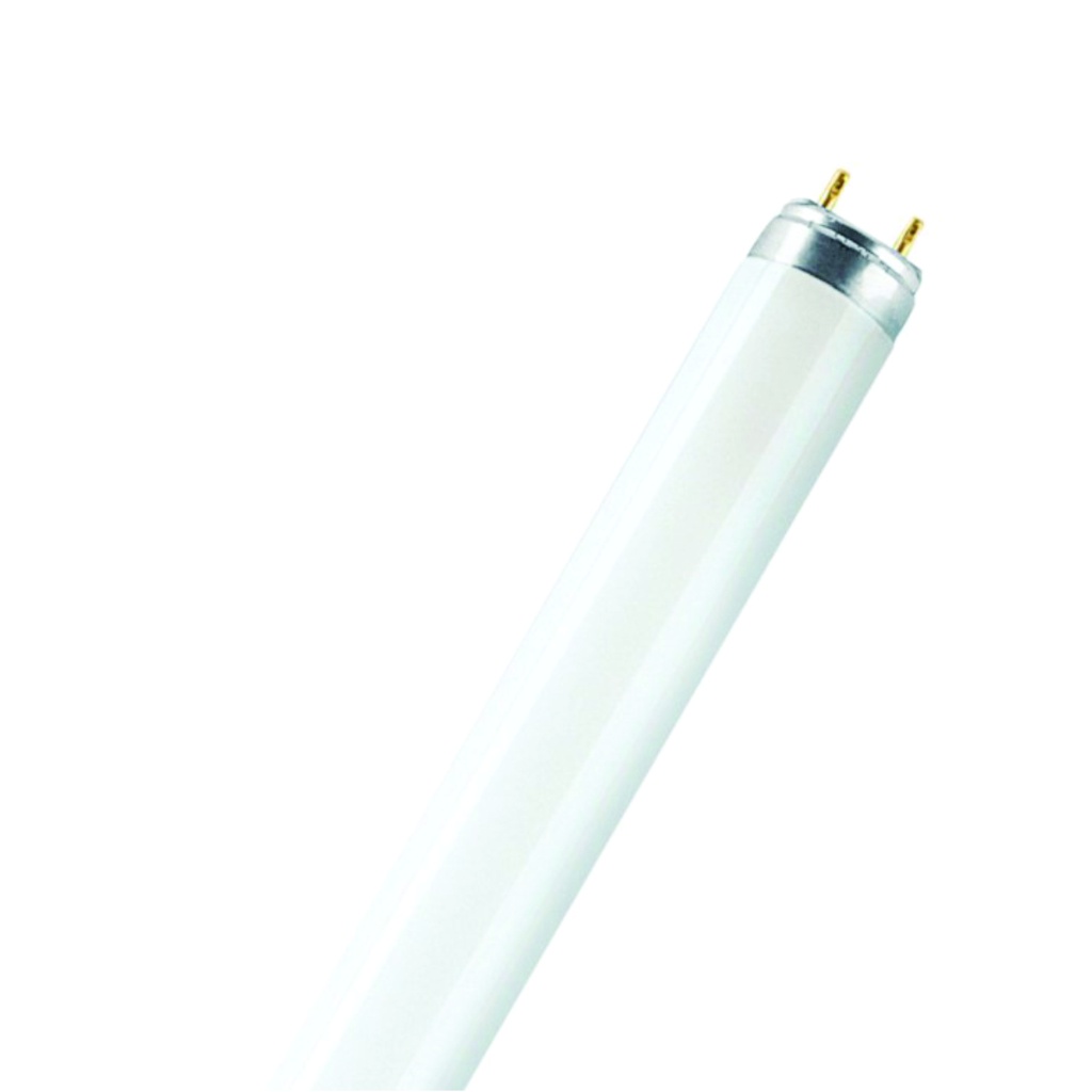 OSRAM Tubo fluorescente T8, 59W, 6500K, luz blanca