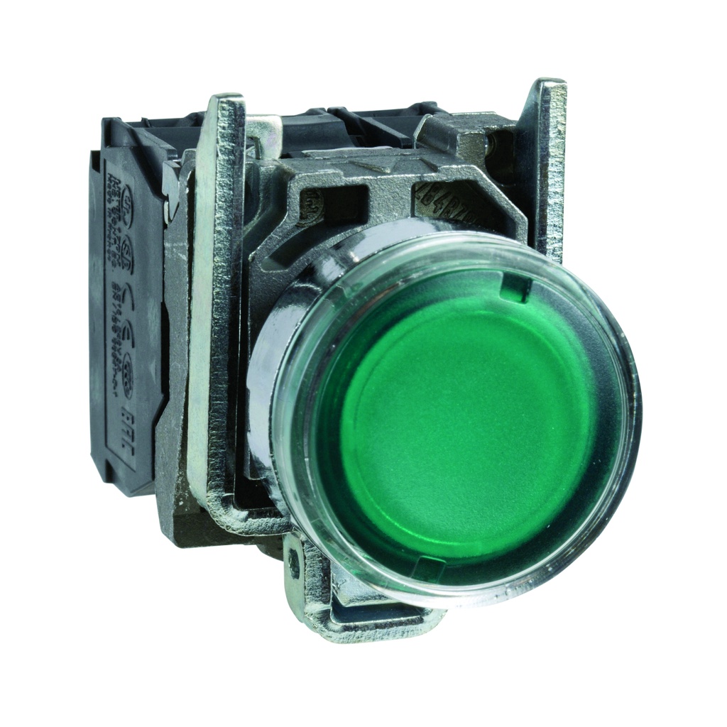 Pulsador iluminado LED integrado, verde, metálico, 22mm, 1NA + 1NC, 220→240V, Harmony XB4