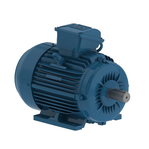 [MOT.01.054] [TE-18] Motor 3F, 5HP, 1800RPM, 240/480V, TEFC 100L