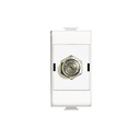 BTICINO Conector coaxial TV tipo fiting, blanco