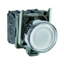 Pulsador iluminado LED integrado, blanco, metálico, 22mm, 1NA + 1NC, 24V, Harmony XB4