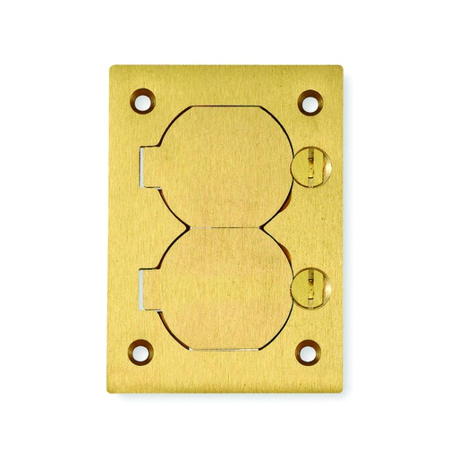 [WIR.03.051] [S3825] HUBBELL S3825 Cubierta de bronce para colocar a nivel de piso, rectangular doble de 4-5/32" x 2-63/64"