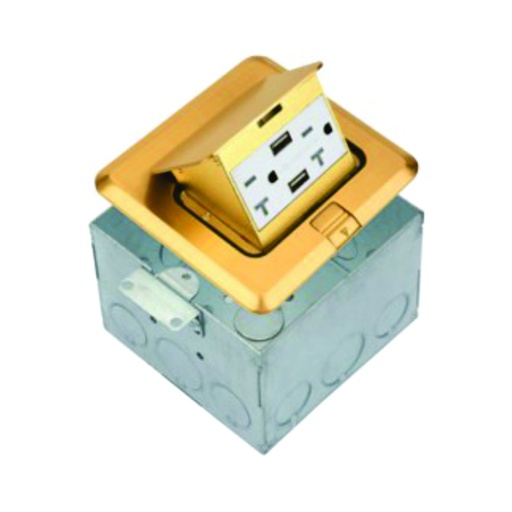 [WIR.03.738] Caja para escritorio POP-UP sencilla, 2 USB, 1 Gang, brass, UL